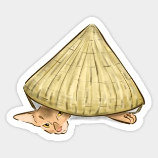 Abyssinian kitten in a hat Sticker